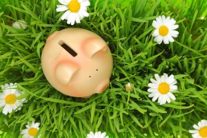 Piggy bank on green grass with flowers background